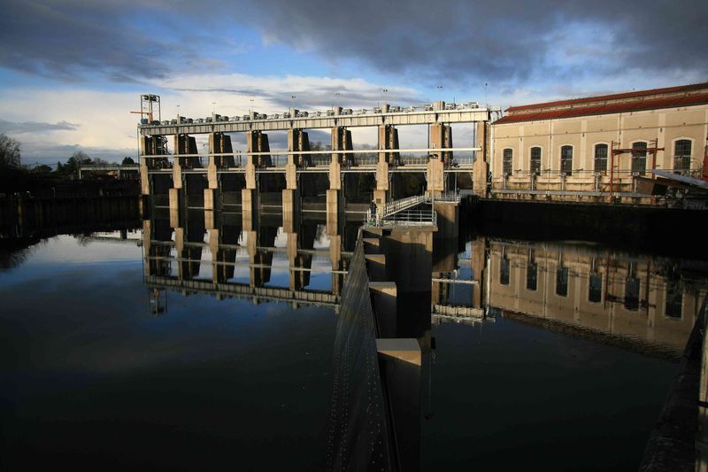 Espionne les poissons du barrage EDF de Tuilières / Spy on the fish in the dam